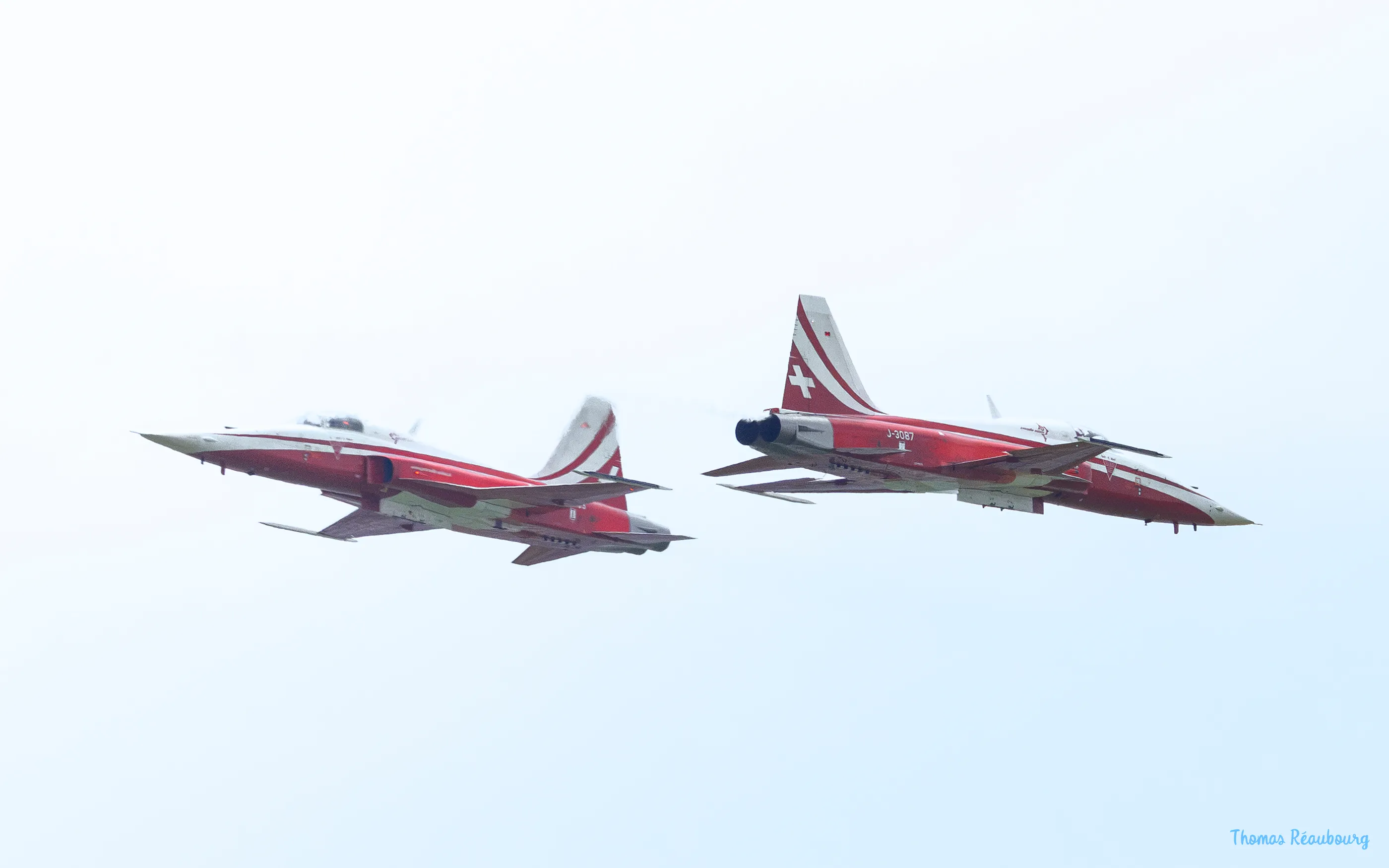 F-5E Tiger II
Patrouille Suisse