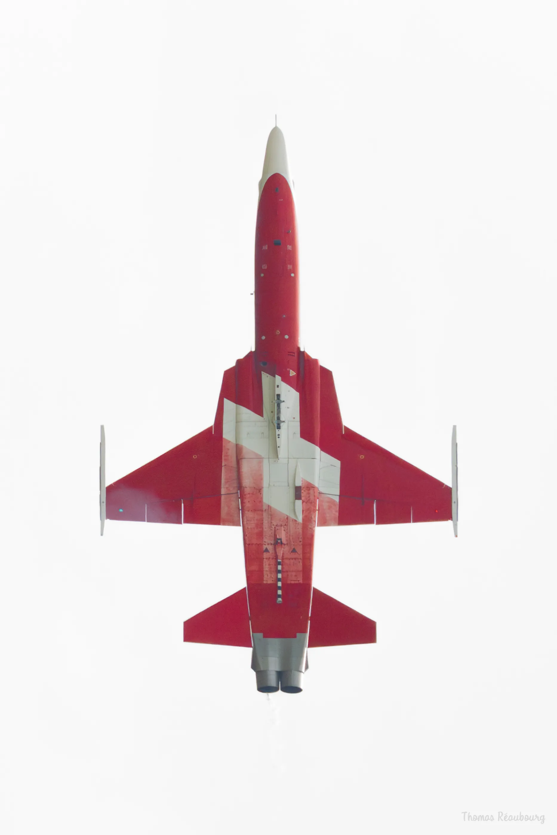 F-5E Tiger II
Patrouille Suisse